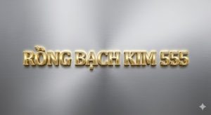 Top 4 phương pháp soi cầu 555 chi tiết